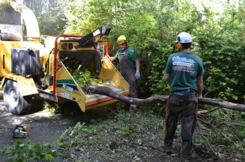 tree services Skagway